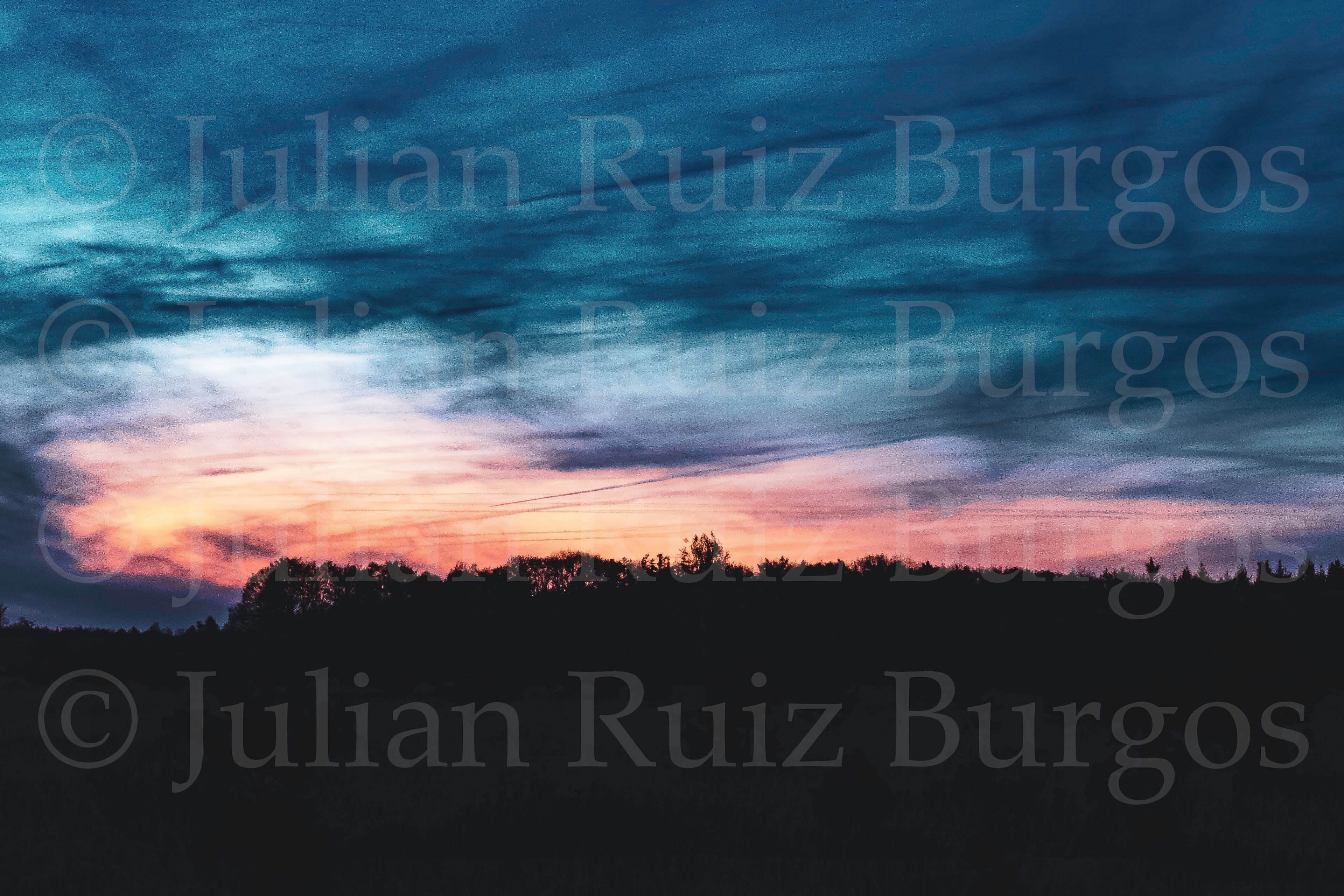 Leenderbos at Dusk I