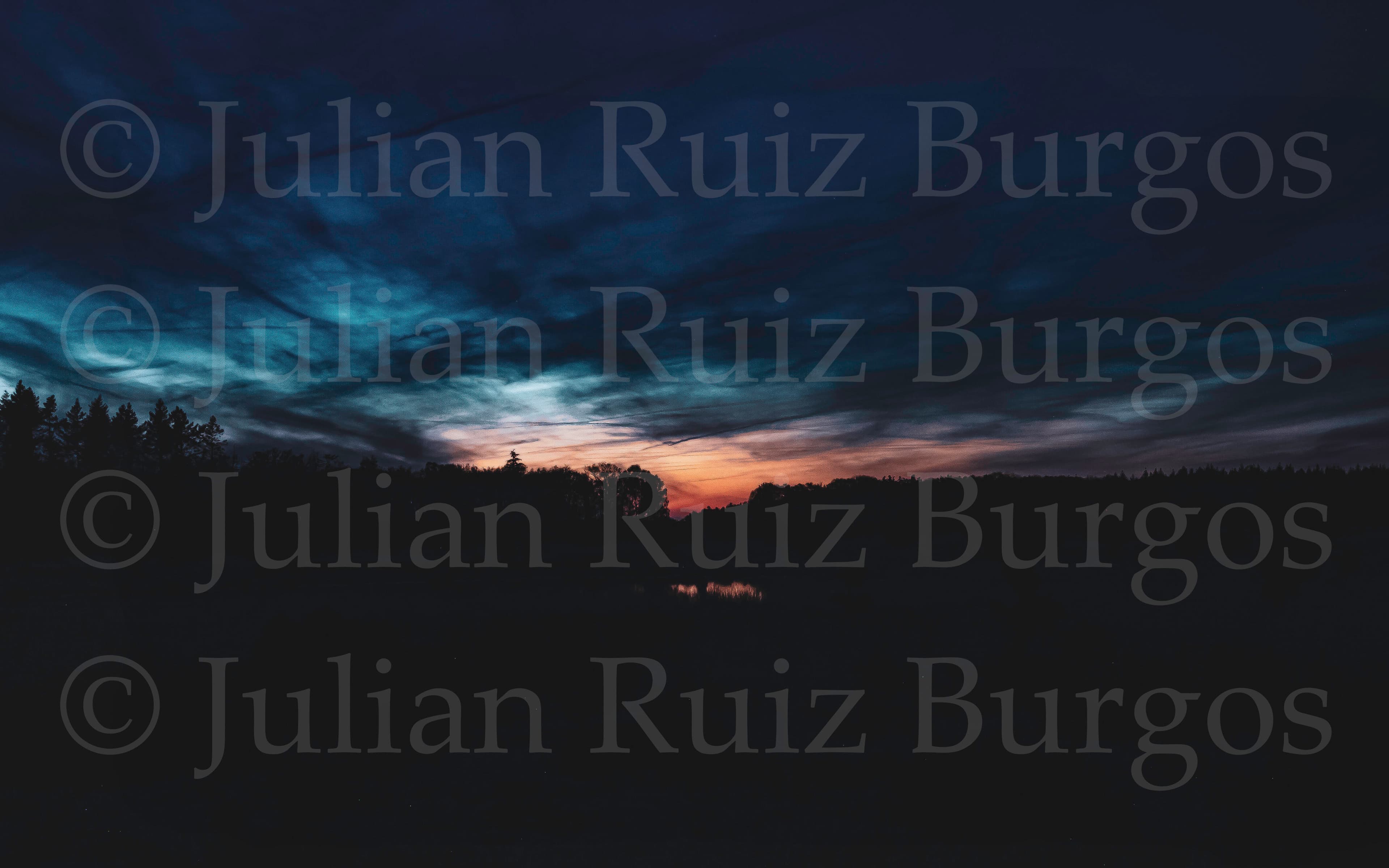 Leenderbos at Dusk III