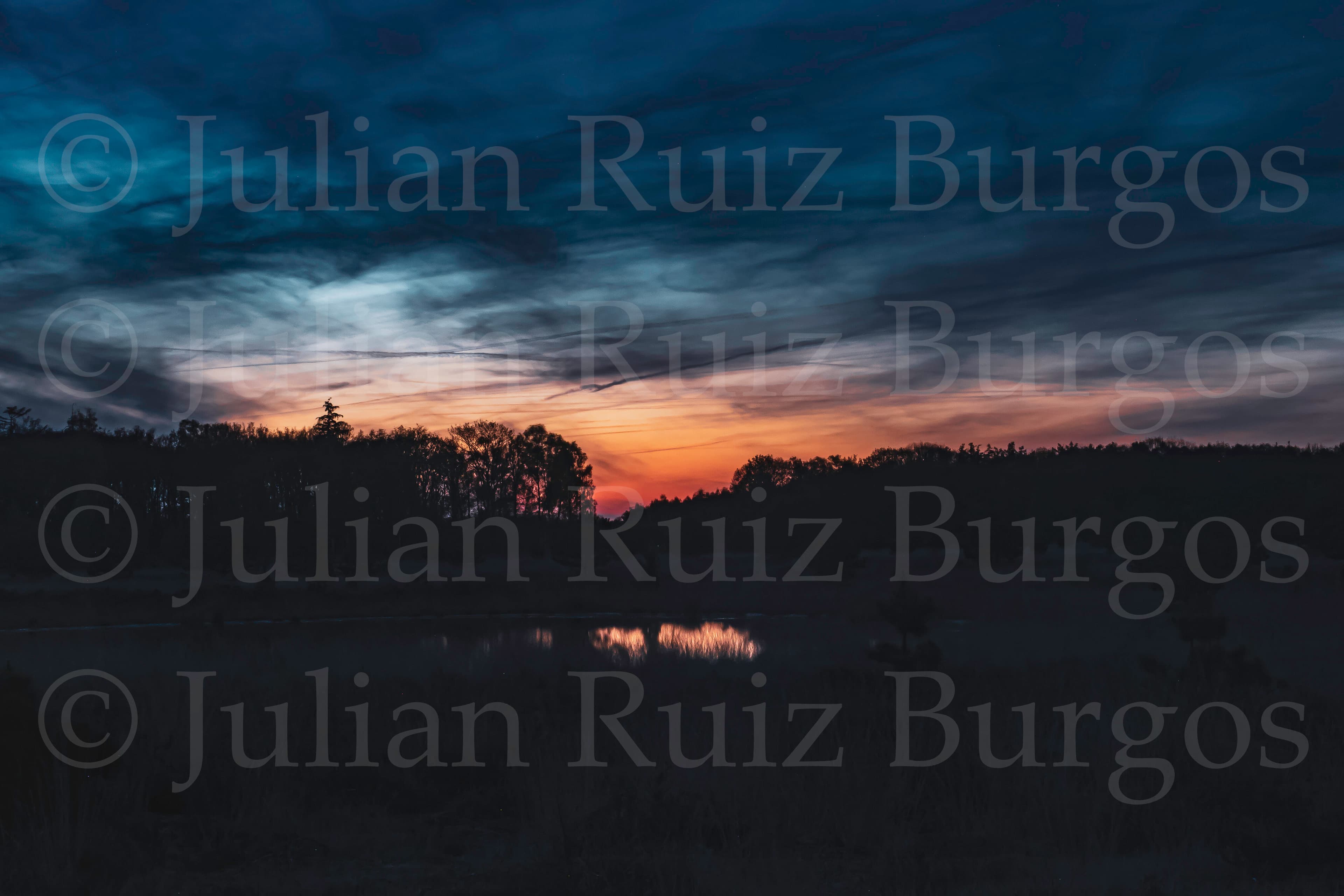 Leenderbos at Dusk IV